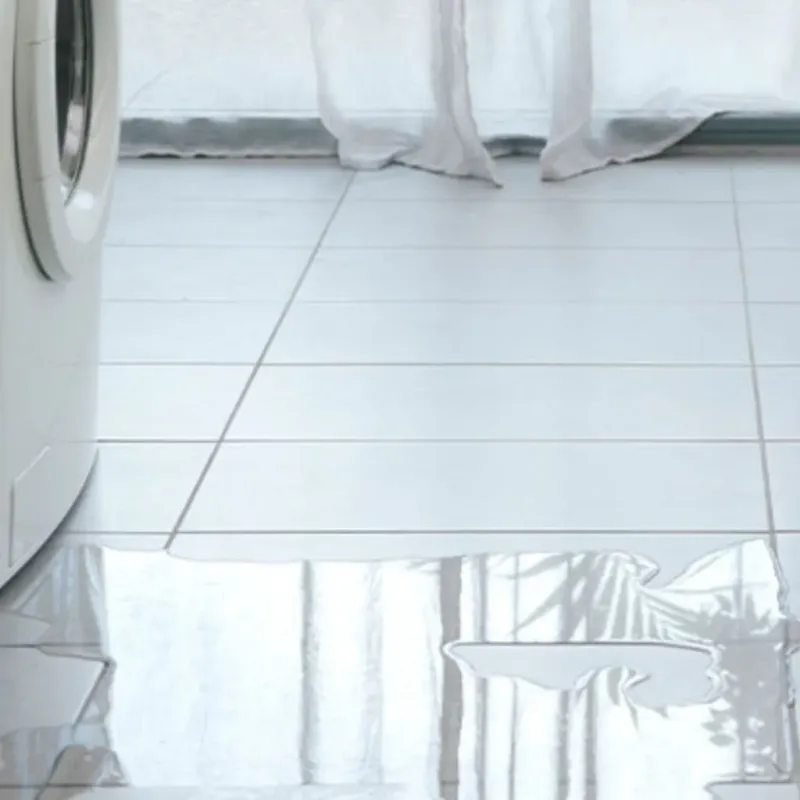 Appliance Leak Cleanup in Wilmette, IL