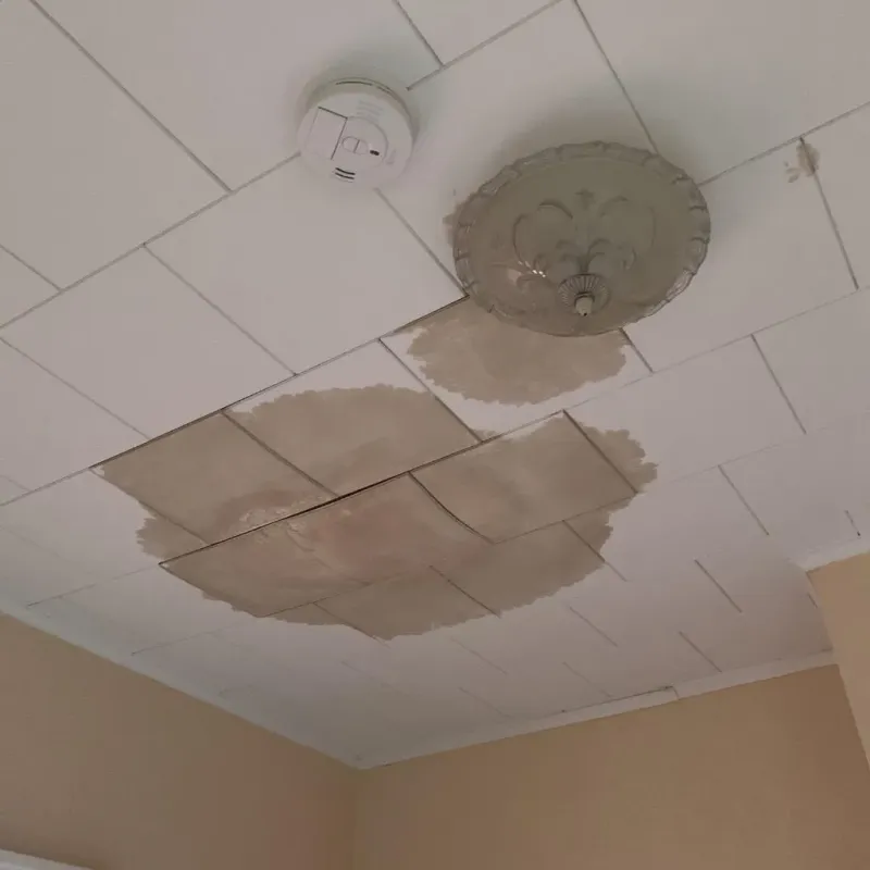 Ceiling Water Damage Repair in Wilmette, IL