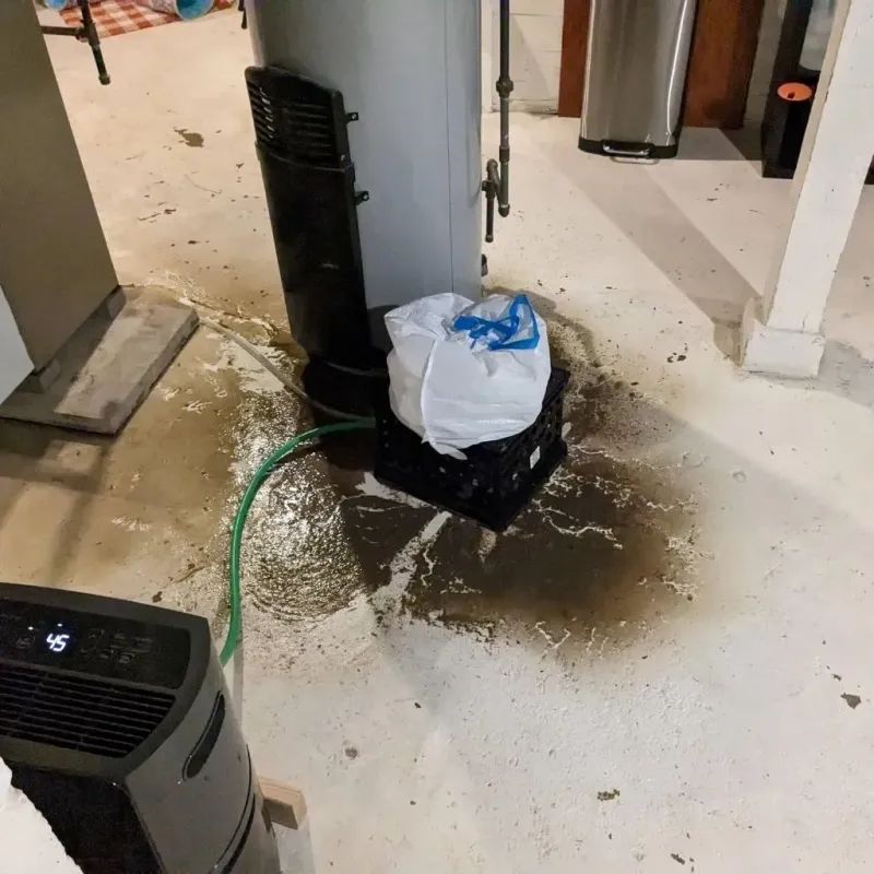 Sewage Backup Cleanup Service in Wilmette, IL
